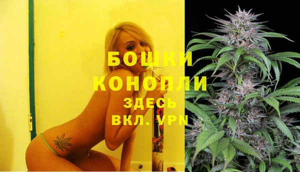 сатива Ступино